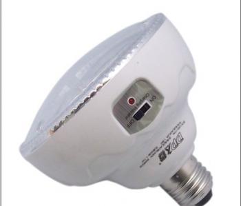 DP LED Emergency Light with Remote Control
